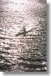 california, marin, marin county, north bay, northern california, rowers, san francisco bay area, vertical, west coast, western usa, photograph