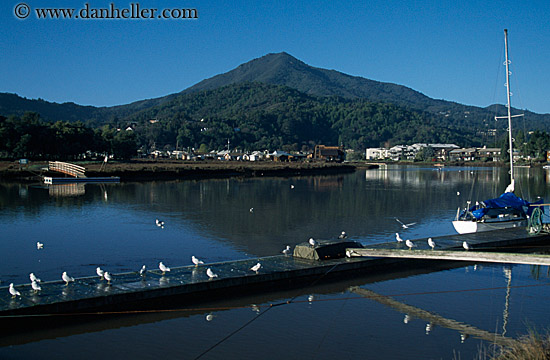 mt_tam-n-dock-01.jpg