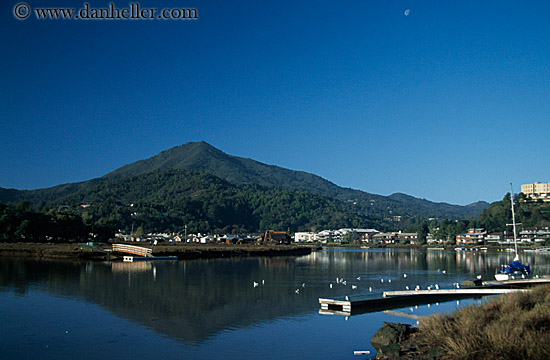 mt_tam-n-dock-02.jpg