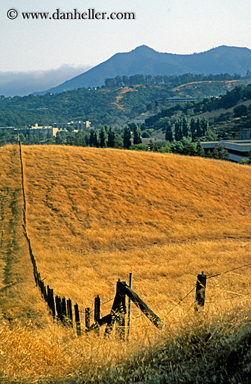 mt_tam-n-fence.jpg