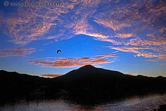 mt_tam-n-river-sunset-10.jpg