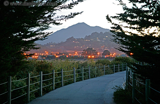 mt_tam-path-trees.jpg