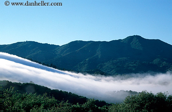 mt_tam-rolling-fog-0007.jpg