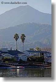 images/California/Marin/MountTam/palm-trees-n-mt_tam-01.jpg
