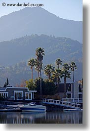 images/California/Marin/MountTam/palm-trees-n-mt_tam-03.jpg