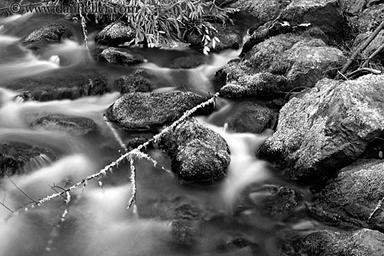 mossy-stones-in-water-bw.jpg