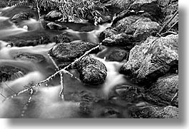 black and white, california, horizontal, long exposure, marin, marin county, mossy, muir woods, north bay, northern california, stones, water, west coast, western usa, photograph