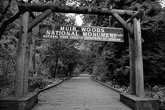 muir-woods-entry-sign-bw.jpg