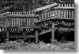 images/California/Marin/MuirWoods/BlackAndWhite/wood-fence-bw.jpg