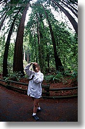 images/California/Marin/MuirWoods/jill-photographing-trees-1.jpg