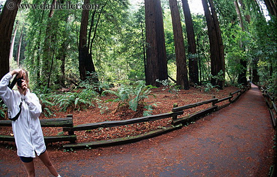 jill-photographing-trees-2.jpg