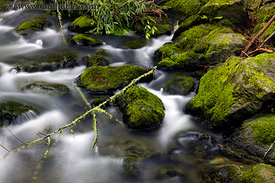 mossy-stones-in-water.jpg