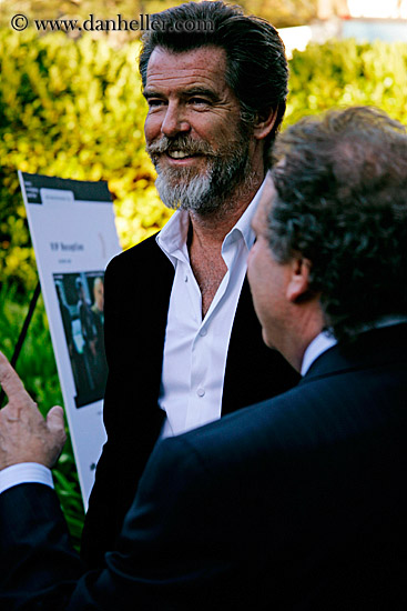 pierce-brosnan-01.jpg