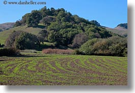 california, farm, hills, horizontal, landscapes, marin, marin county, nature, north bay, northern california, novato, scenics, stafford lake park, west coast, western usa, photograph