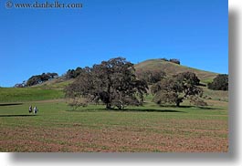 california, hikers, hills, horizontal, landscapes, marin, marin county, nature, north bay, northern california, novato, scenics, stafford lake park, trees, west coast, western usa, photograph