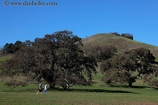 hikers-trees-n-hills-2.jpg