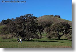 california, hikers, hills, horizontal, landscapes, marin, marin county, nature, north bay, northern california, novato, scenics, stafford lake park, trees, west coast, western usa, photograph