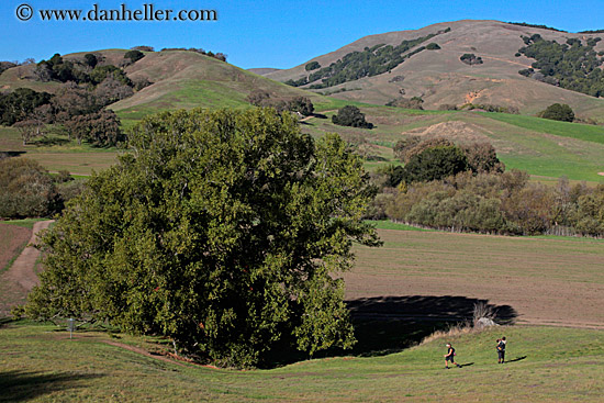 hikers-trees-n-hills-3.jpg