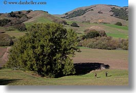 california, hikers, hills, horizontal, landscapes, marin, marin county, nature, north bay, northern california, novato, scenics, stafford lake park, trees, west coast, western usa, photograph