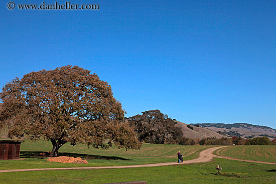 hikers-trees-n-hills-4.jpg