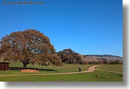 california, hikers, hills, horizontal, landscapes, marin, marin county, nature, north bay, northern california, novato, scenics, stafford lake park, trees, west coast, western usa, photograph