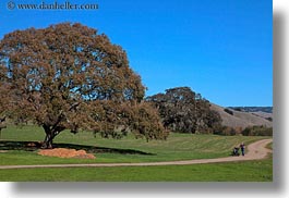 california, hikers, hills, horizontal, landscapes, marin, marin county, nature, north bay, northern california, novato, scenics, stafford lake park, trees, west coast, western usa, photograph