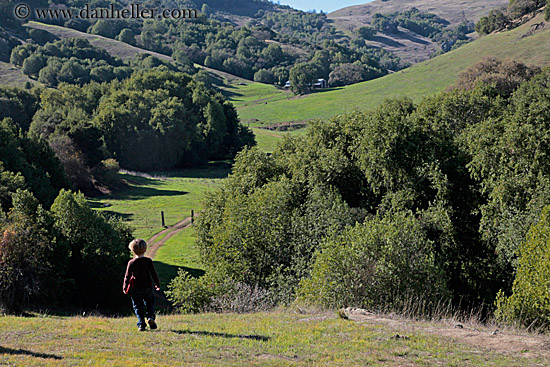 jack-hiking-lush-green-hills.jpg