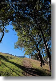 images/California/Marin/Novato/StaffordLakePark/path-n-trees-1.jpg