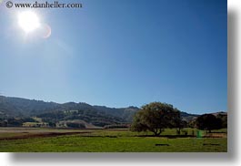 images/California/Marin/Novato/StaffordLakePark/sun-n-landscape.jpg