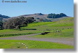 california, hills, horizontal, landscapes, marin, marin county, nature, north bay, northern california, novato, scenics, stafford lake park, trees, west coast, western usa, photograph