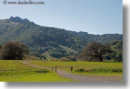 images/California/Marin/Novato/StaffordLakePark/trees-n-hills-4.jpg