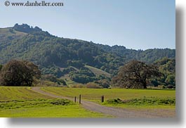 california, hills, horizontal, landscapes, marin, marin county, nature, north bay, northern california, novato, scenics, stafford lake park, trees, west coast, western usa, photograph