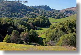 california, hills, horizontal, landscapes, marin, marin county, nature, north bay, northern california, novato, scenics, stafford lake park, trees, west coast, western usa, photograph