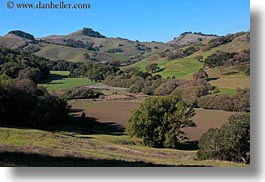 california, hills, horizontal, landscapes, marin, marin county, nature, north bay, northern california, novato, scenics, stafford lake park, trees, west coast, western usa, photograph