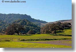 images/California/Marin/Novato/StaffordLakePark/trees-n-hills-7.jpg