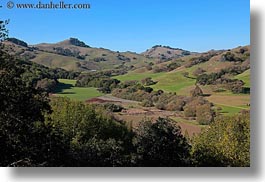 california, hills, horizontal, landscapes, marin, marin county, nature, north bay, northern california, novato, scenics, stafford lake park, trees, west coast, western usa, photograph