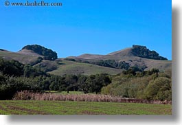 california, hills, horizontal, landscapes, marin, marin county, nature, north bay, northern california, novato, scenics, stafford lake park, trees, west coast, western usa, photograph