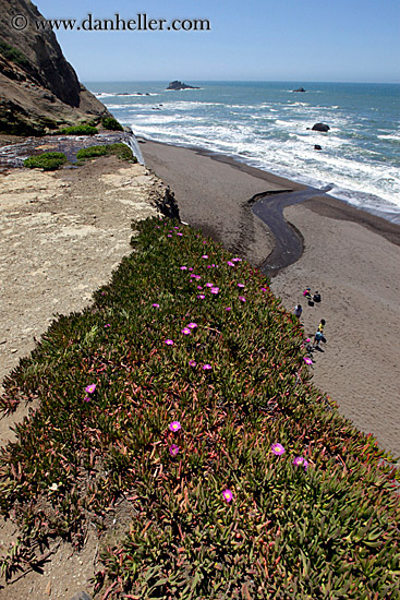 stream-thru-beach-to-ocean-01.jpg