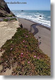 images/California/Marin/PalomarinTrail/stream-thru-beach-to-ocean-01.jpg
