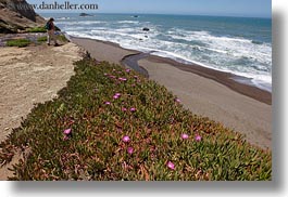 images/California/Marin/PalomarinTrail/stream-thru-beach-to-ocean-02.jpg
