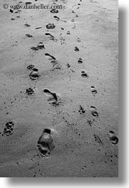 beaches, black and white, california, footprints, marin, marin county, materials, north bay, northern california, sand, vertical, west coast, western usa, photograph