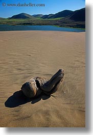 beaches, california, logs, marin, marin county, north bay, northern california, sand, vertical, west coast, western usa, photograph