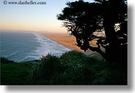 beaches, california, coastline, horizontal, long, marin, marin county, north bay, northern california, silhouettes, trees, west coast, western usa, photograph