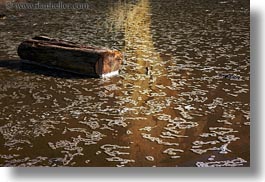 beaches, california, horizontal, logs, marin, marin county, north bay, northern california, shallow, water, west coast, western usa, photograph