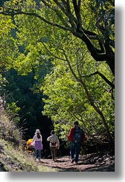 bear valley trail, california, clothes, forests, hats, hikers, marin, marin county, nature, north bay, northern california, people, plants, stroller, tree tunnel, trees, vertical, west coast, western usa, womens, photograph