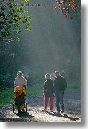 bear valley trail, california, clothes, forests, hats, hikers, marin, marin county, nature, north bay, northern california, people, plants, sky, stroller, sun, sunbeams, trees, vertical, west coast, western usa, womens, photograph