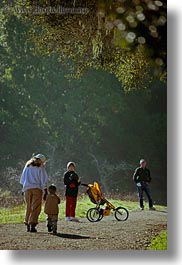 bear valley trail, california, clothes, forests, hats, hikers, marin, marin county, nature, north bay, northern california, people, plants, stroller, trees, vertical, west coast, western usa, womens, photograph