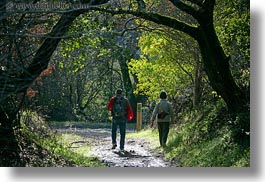 bear valley trail, california, forests, hikers, horizontal, marin, marin county, nature, north bay, northern california, paths, plants, tree tunnel, trees, west coast, western usa, photograph