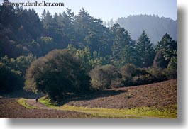 bear valley trail, california, hikers, horizontal, marin, marin county, north bay, northern california, paths, west coast, western usa, photograph