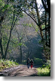 bear valley trail, california, forests, hikers, marin, marin county, nature, north bay, northern california, paths, plants, trees, vertical, west coast, western usa, photograph